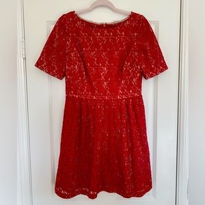 Adrianna Papell Red Lace Fit and Flare Dress